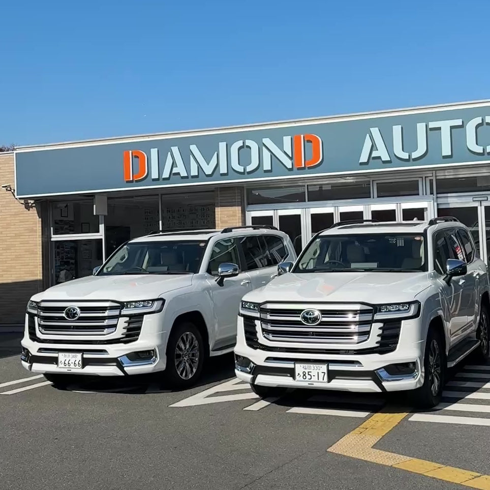 動画を読み込む: 